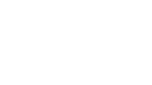 Google Partner